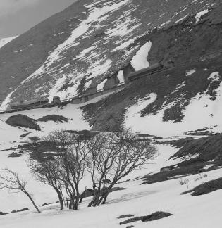 Snow Mountain Vein 7