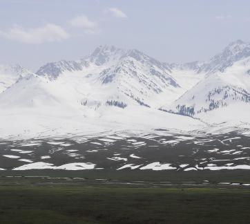 Pure Snow Mountain 2