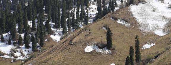 Snow on Cold Mountain 14