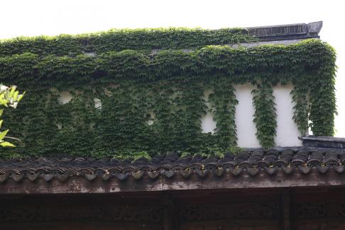 Impressions of Jiangnan 38