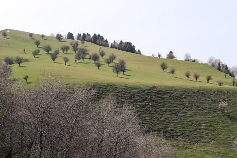 Autumn View of Cold Mountain 15