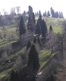 Mountain Overture 10