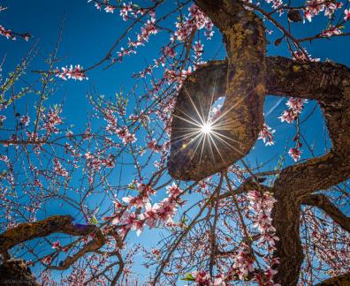 The colors of the spring