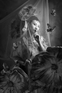 Blue Butterfly2