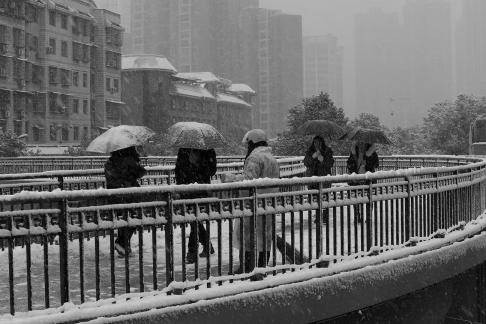 Snowflakes Dancing in the World 66