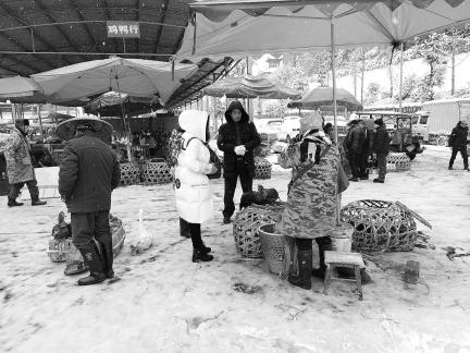 Snowy scenery 66