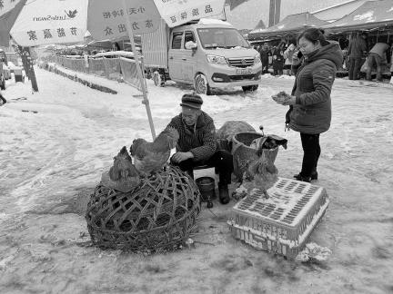 Snowy scenery 67