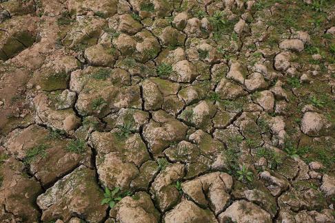 Cracked Earth 7