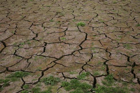 Cracked Earth 8
