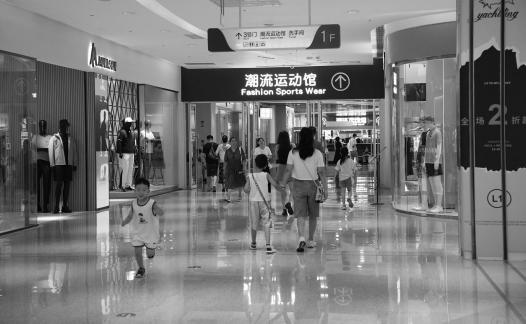 The Joy of Shopping Malls 16
