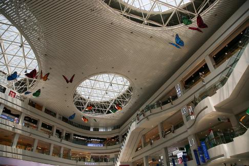 The Joy of Shopping Malls 11