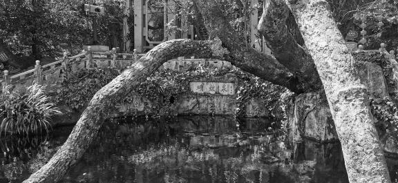 Beside Butterfly Spring