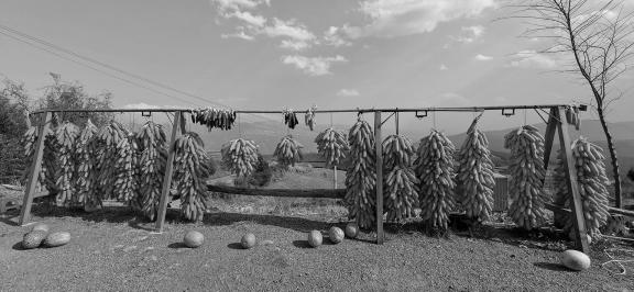 Harvest ornaments 1