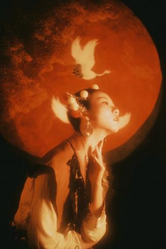 Crane s Song (鹤鸣)