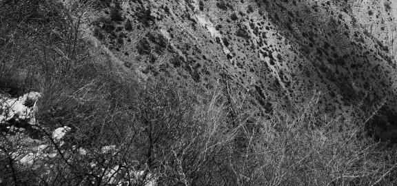 Mountainous wild slopes 1