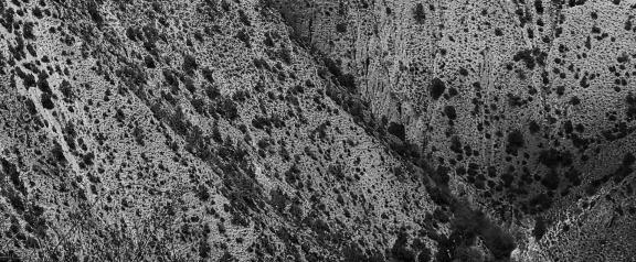 Mountainous wild slopes 2