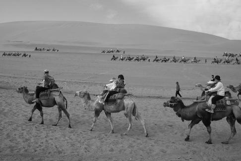 Desert Journey 77