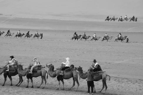 Desert Journey 78