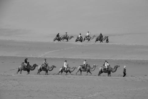 Desert Journey 79