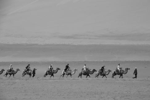 Desert Journey 80