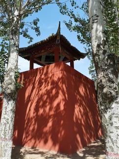Western Xia Buddhist Kingdom 13