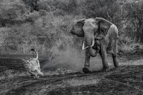 Kenya 19