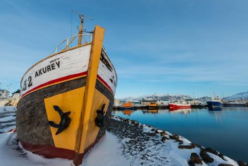 Fishing Harbour In Iceland