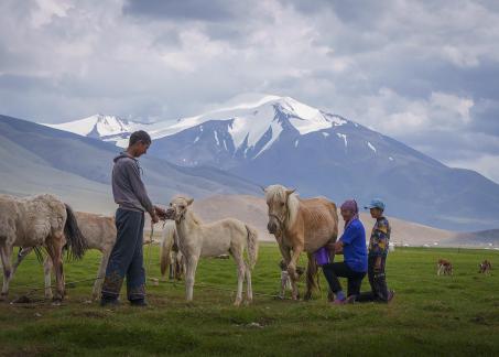 An Intimate Bond In Mongolia