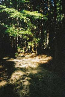 Sanzenin