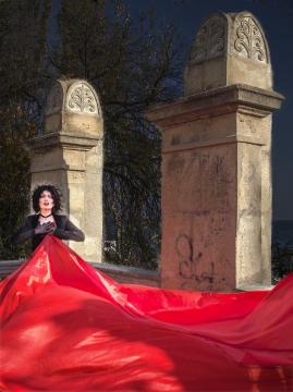 Red silk