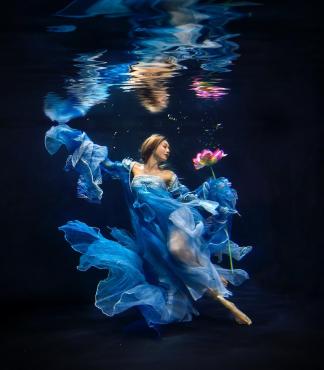 Lotus under the water