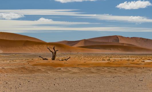 Deadvlei landscape_2