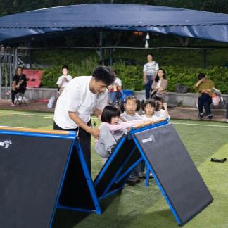 pommel horse