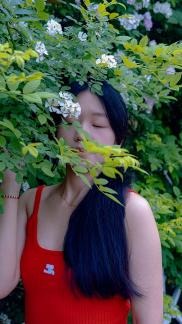 numerous flowers 1