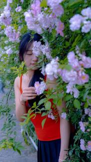 numerous flowers 2