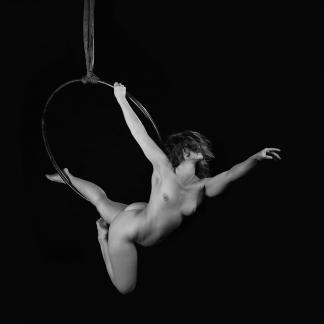 La creacion