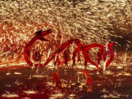 Fire dragon 11