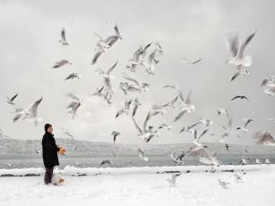 Aviculture Aviculture