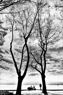 BWFishmanistinye6 BWFishmanistinye6