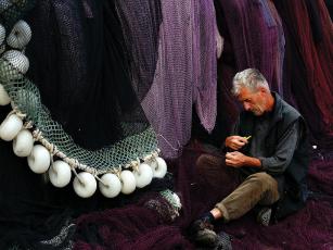 SileTamir3 SileTamir3