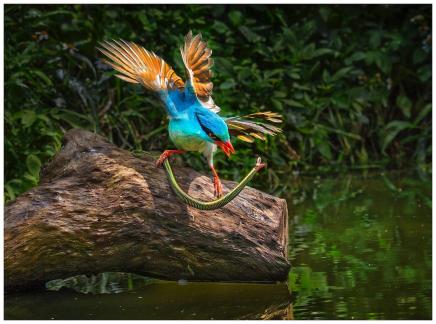 The two cannot exit together The two cannot exit together