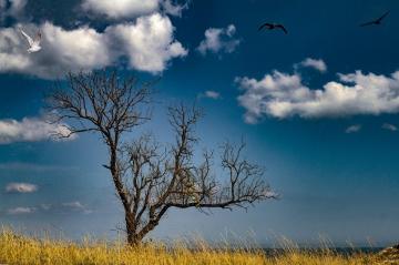 In solitude 3 In solitude 3