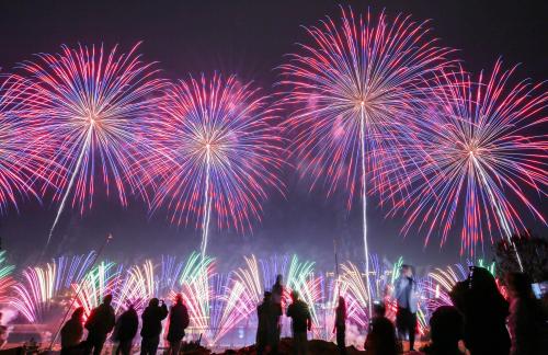 Fireworks bloom in full bloom 11 Fireworks bloom in full bloom 11