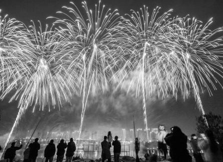 Fireworks bloom in full bloom 13 Fireworks bloom in full bloom 13