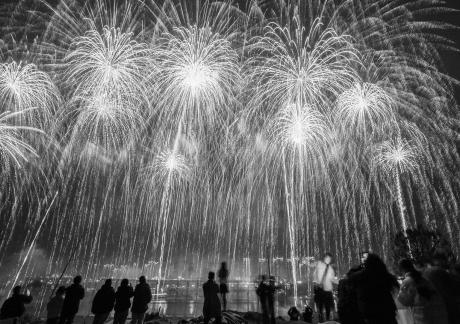 Fireworks bloom in full bloom 15 Fireworks bloom in full bloom 15