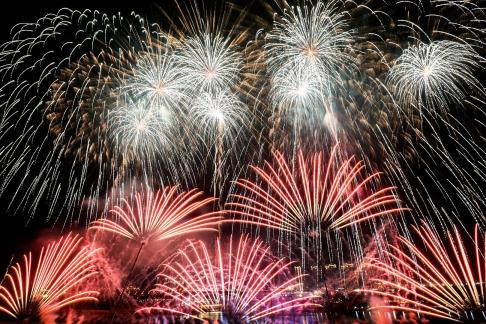 Fireworks bloom in full bloom 2 Fireworks bloom in full bloom 2