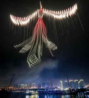 Fireworks bloom in full bloom 6