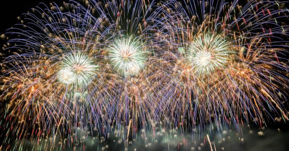 Fireworks bloom in full bloom 8 Fireworks bloom in full bloom 8