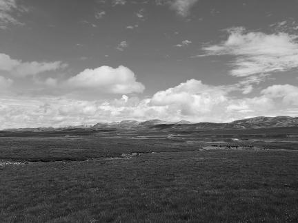 Qingqing Grassland 5