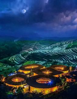 native born native born